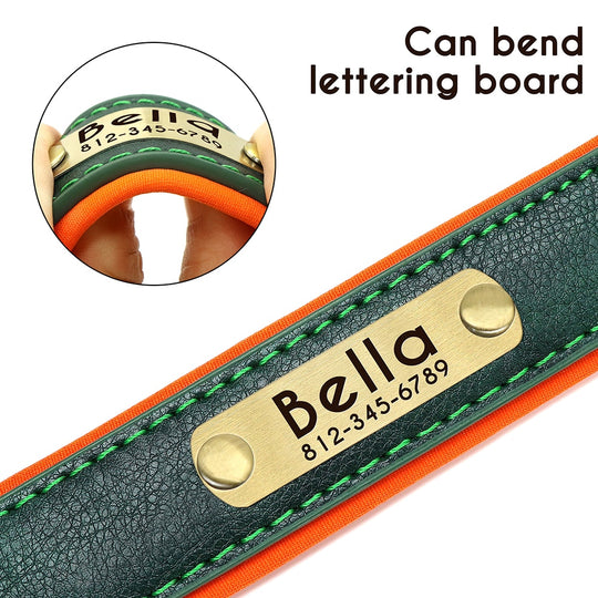 Leather Dog Collars with Engraved Nameplate - Features