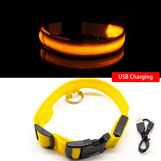 LED Light Dog Collar - Yellow