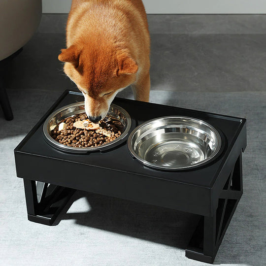 Adjustable Food and Water Dog Bowl Stand 