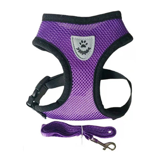 Small Dog and Cat Harness With Leash- Purple