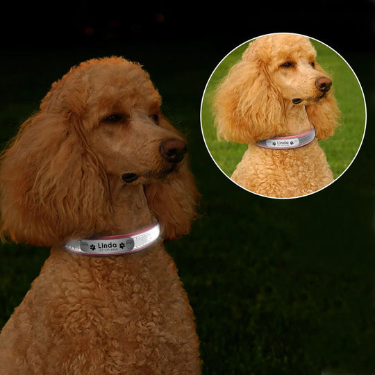 Reflective Personalized Dog Collar