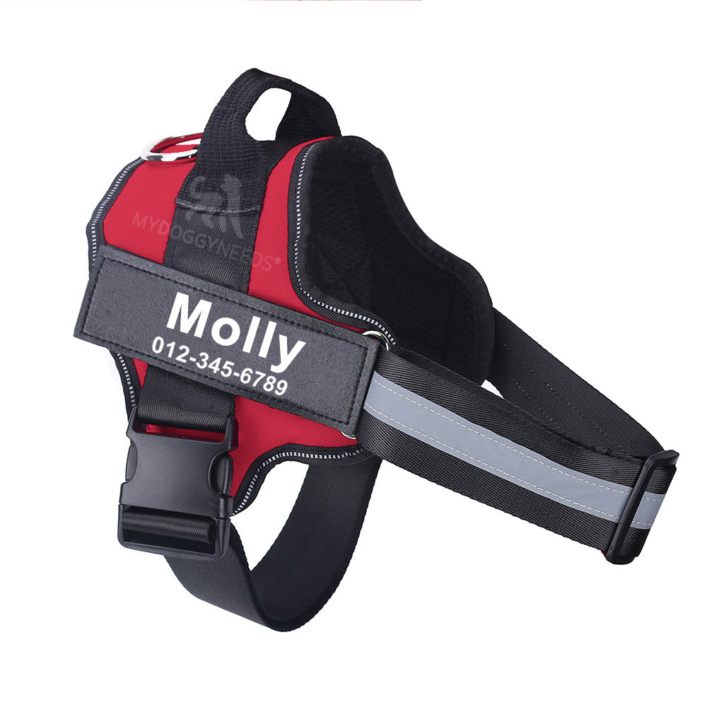 Personalized No Pull Dog Harness (FREE TODAY) - MyDoggyNeeds