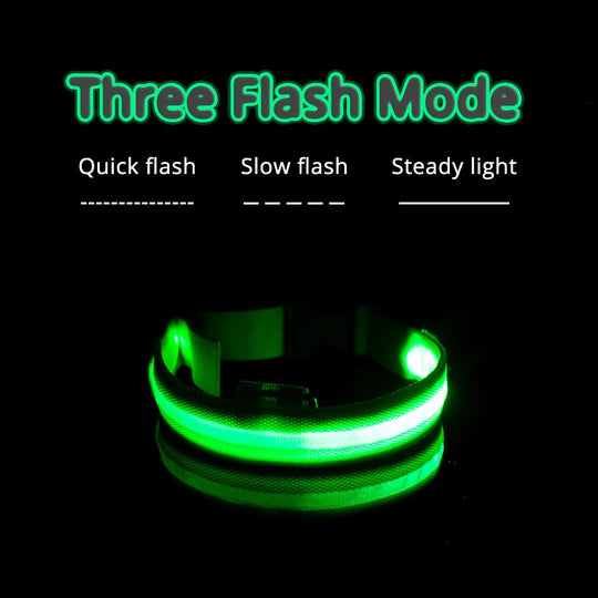 LED Light Dog Collar - Features