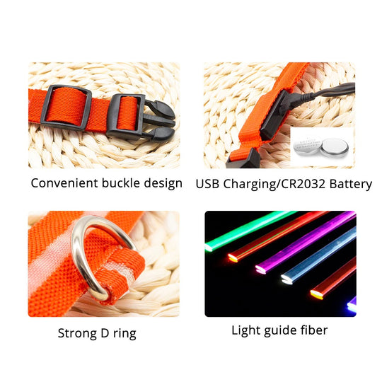 LED Light Dog Collar - Features